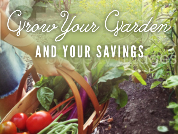 Grow Your garden and your Savings